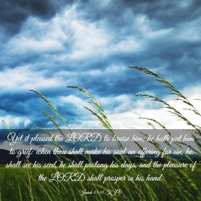 Picture 03 - Isaiah 53:10 KJV - Yet it pleased the LORD to bruise him; he hath - Bible Verse Picture