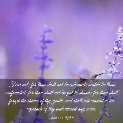 Picture 03 - Isaiah 54:4 KJV - Fear not; for thou shalt not be ashamed: neither - Bible Verse Picture
