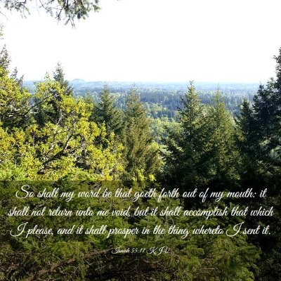Picture 03 - Isaiah 55:11 KJV - So shall my word be that goeth forth out of my - Bible Verse Picture