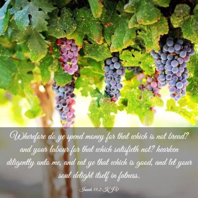 Picture 03 - Isaiah 55:2 KJV - Wherefore do ye spend money for that which is not - Bible Verse Picture