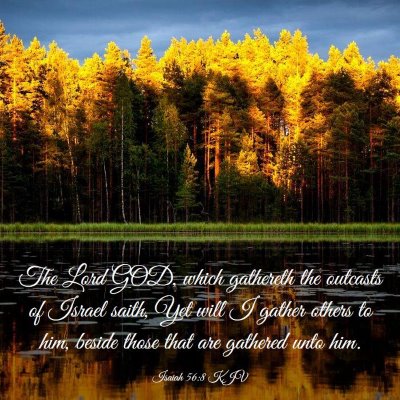 Picture 03 - Isaiah 56:8 KJV - The Lord GOD, which gathereth the outcasts of - Bible Verse Picture