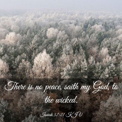 Picture 03 - Isaiah 57:21 KJV - There is no peace, saith my God, to the - Bible Verse Picture