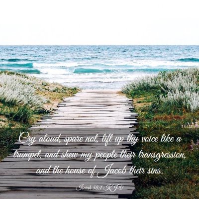 Picture 03 - Isaiah 58:1 KJV - Cry aloud, spare not, lift up thy voice like a - Bible Verse Picture