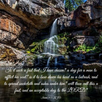 Picture 03 - Isaiah 58:5 KJV - Is it such a fast that I have chosen? a day for a - Bible Verse Picture
