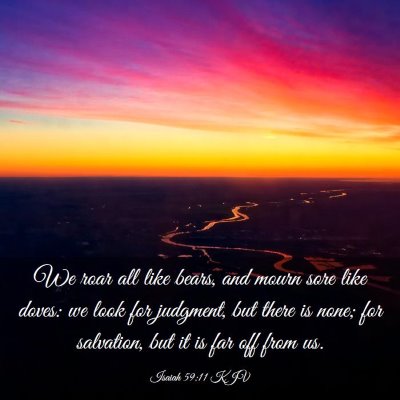 Picture 03 - Isaiah 59:11 KJV - We roar all like bears, and mourn sore like - Bible Verse Picture