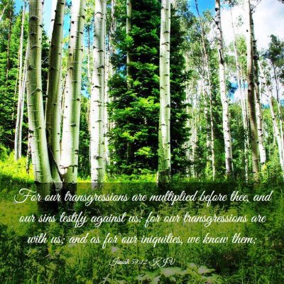 Picture 03 - Isaiah 59:12 KJV - For our transgressions are multiplied before - Bible Verse Picture
