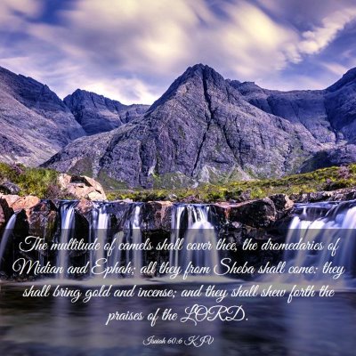 Picture 03 - Isaiah 60:6 KJV - The multitude of camels shall cover thee, the - Bible Verse Picture