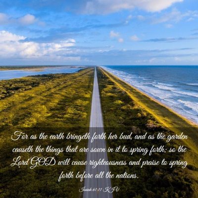 Picture 03 - Isaiah 61:11 KJV - For as the earth bringeth forth her bud, and as - Bible Verse Picture