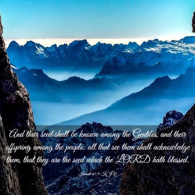 Picture 03 - Isaiah 61:9 KJV - And their seed shall be known among the Gentiles, - Bible Verse Picture