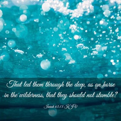Picture 03 - Isaiah 63:13 KJV - That led them through the deep, as an horse in - Bible Verse Picture