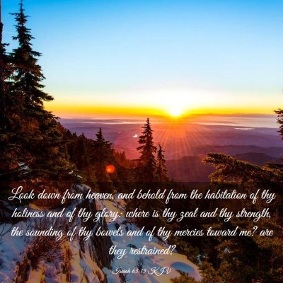Picture 03 - Isaiah 63:15 KJV - Look down from heaven, and behold from the - Bible Verse Picture
