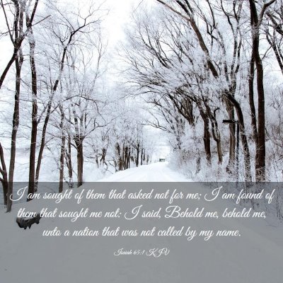 Picture 03 - Isaiah 65:1 KJV - I am sought of them that asked not for me; I am - Bible Verse Picture