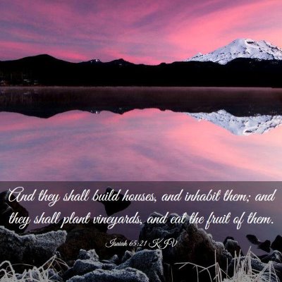 Picture 03 - Isaiah 65:21 KJV - And they shall build houses, and inhabit them; - Bible Verse Picture