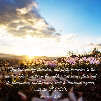 Picture 03 - Isaiah 66:17 KJV - They that sanctify themselves, and purify - Bible Verse Picture