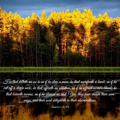 Picture 03 - Isaiah 66:3 KJV - He that killeth an ox is as if he slew a man; he - Bible Verse Picture
