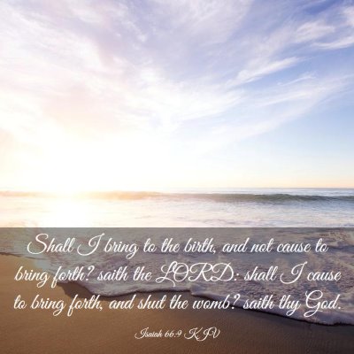 Picture 03 - Isaiah 66:9 KJV - Shall I bring to the birth, and not cause to - Bible Verse Picture