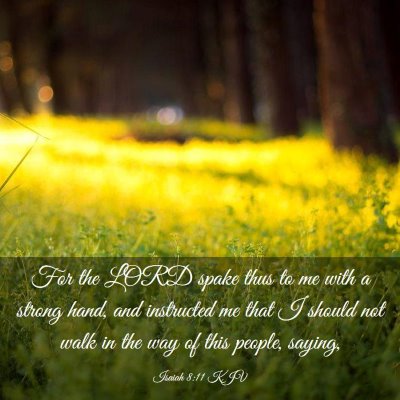 Picture 03 - Isaiah 8:11 KJV - For the LORD spake thus to me with a strong hand, - Bible Verse Picture