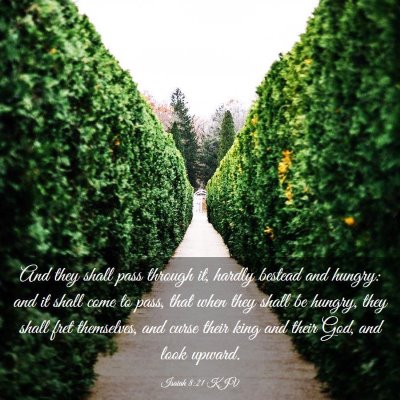 Picture 03 - Isaiah 8:21 KJV - And they shall pass through it, hardly bestead - Bible Verse Picture