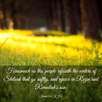 Picture 03 - Isaiah 8:6 KJV - Forasmuch as this people refuseth the waters of - Bible Verse Picture