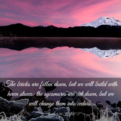 Picture 03 - Isaiah 9:10 KJV - The bricks are fallen down, but we will build - Bible Verse Picture