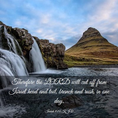 Picture 03 - Isaiah 9:14 KJV - Therefore the LORD will cut off from Israel head - Bible Verse Picture