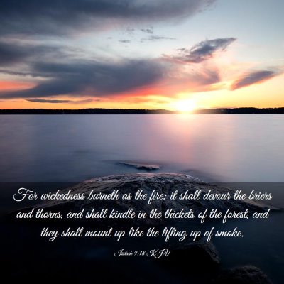 Picture 03 - Isaiah 9:18 KJV - For wickedness burneth as the fire: it shall - Bible Verse Picture