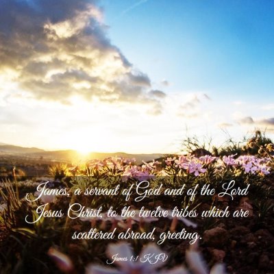 Picture 03 - James 1:1 KJV - James, a servant of God and of the Lord Jesus - Bible Verse Picture