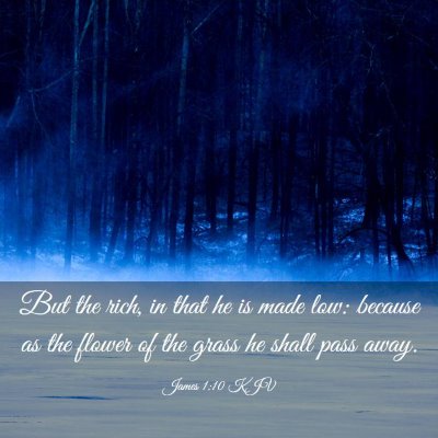 Picture 03 - James 1:10 KJV - But the rich, in that he is made low: because as - Bible Verse Picture
