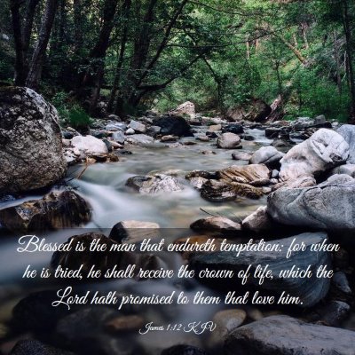 Picture 03 - James 1:12 KJV - Blessed is the man that endureth temptation: for - Bible Verse Picture
