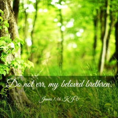 Picture 03 - James 1:16 KJV - Do not err, my beloved - Bible Verse Picture