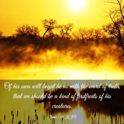 Picture 03 - James 1:18 KJV - Of his own will begat he us with the word of - Bible Verse Picture