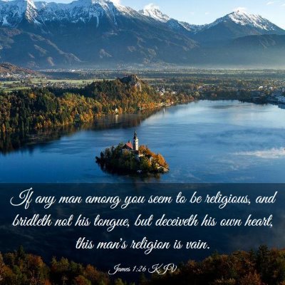 Picture 03 - James 1:26 KJV - If any man among you seem to be religious, and - Bible Verse Picture