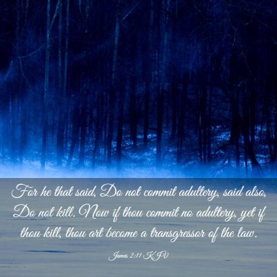 Picture 03 - James 2:11 KJV - For he that said, Do not commit adultery, said - Bible Verse Picture