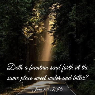 Picture 03 - James 3:11 KJV - Doth a fountain send forth at the same place - Bible Verse Picture