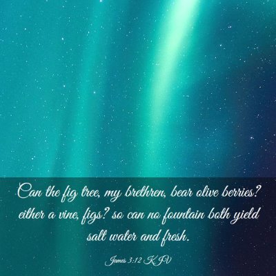 Picture 03 - James 3:12 KJV - Can the fig tree, my brethren, bear olive - Bible Verse Picture