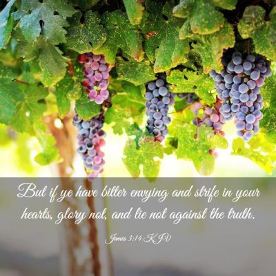Picture 03 - James 3:14 KJV - But if ye have bitter envying and strife in your - Bible Verse Picture