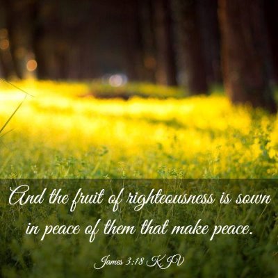 Picture 03 - James 3:18 KJV - And the fruit of righteousness is sown in peace - Bible Verse Picture