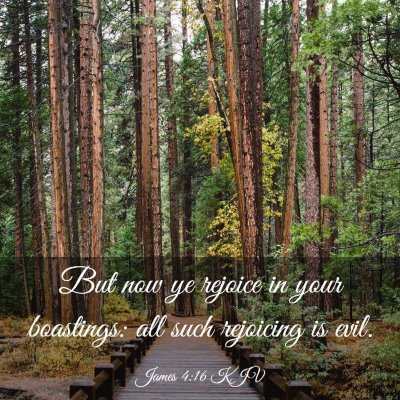Picture 03 - James 4:16 KJV - But now ye rejoice in your boastings: all such - Bible Verse Picture