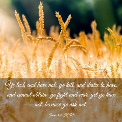 Picture 03 - James 4:2 KJV - Ye lust, and have not: ye kill, and desire to - Bible Verse Picture
