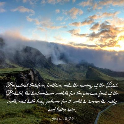 Picture 03 - James 5:7 KJV - Be patient therefore, brethren, unto the coming - Bible Verse Picture
