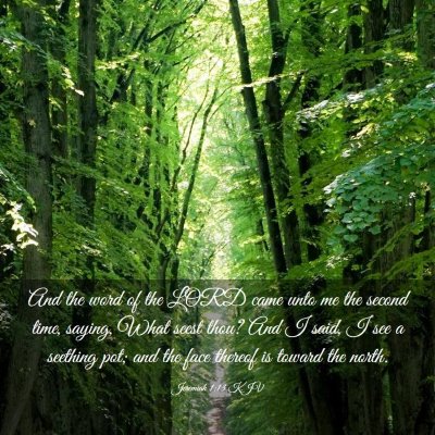 Picture 03 - Jeremiah 1:13 KJV - And the word of the LORD came unto me the second - Bible Verse Picture