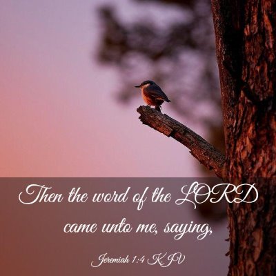 Picture 03 - Jeremiah 1:4 KJV - Then the word of the LORD came unto me, - Bible Verse Picture