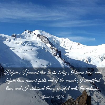 Picture 03 - Jeremiah 1:5 KJV - Before I formed thee in the belly I knew thee; - Bible Verse Picture