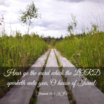 Picture 03 - Jeremiah 10:1 KJV - Hear ye the word which the LORD speaketh unto - Bible Verse Picture
