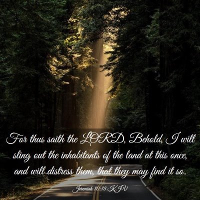 Picture 03 - Jeremiah 10:18 KJV - For thus saith the LORD, Behold, I will sling out - Bible Verse Picture