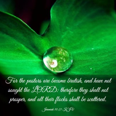 Picture 03 - Jeremiah 10:21 KJV - For the pastors are become brutish, and have not - Bible Verse Picture
