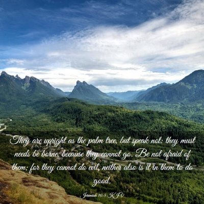 Picture 03 - Jeremiah 10:5 KJV - They are upright as the palm tree, but speak not: - Bible Verse Picture