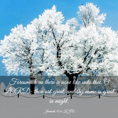Picture 03 - Jeremiah 10:6 KJV - Forasmuch as there is none like unto thee, O - Bible Verse Picture