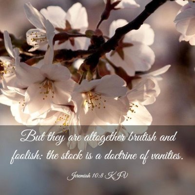 Picture 03 - Jeremiah 10:8 KJV - But they are altogether brutish and foolish: the - Bible Verse Picture