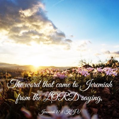 Picture 03 - Jeremiah 11:1 KJV - The word that came to Jeremiah from the LORD - Bible Verse Picture